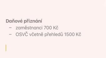 Daňové přiznání 2024