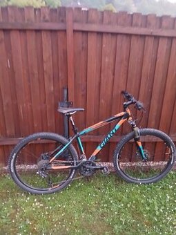Kolo Giant 29