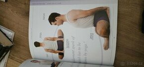 Iyengar Yoga - 1