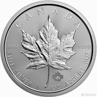 Investicni stribrne mince maple leaf