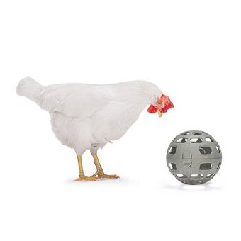 Beeztees zábavné krmítko – míček pro slepice 15 cm