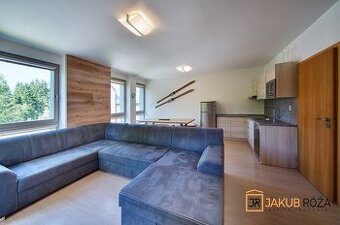 Prodej apartmánu 1+kk Harrachov
