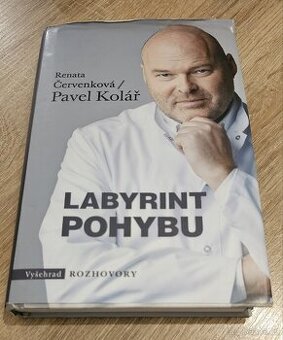 Labyrint pohybu
