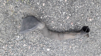 Ford Focus MK1 - hadice sání do filtrboxu