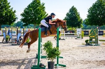 Pony B do sportu