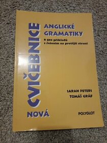 Nová učebnice anglické gramatiky - Polyglot - 1