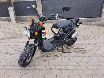 Honda NPS50 Zoomer, rv.2009 - 1