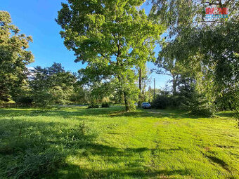 Prodej zahrady, 719 m², Město Albrechtice