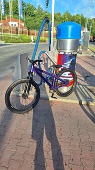 CTM Dirtking expert 2025