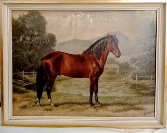 STARÝ OBRAZ KONĚ, KŮŇ, olejotisk na kartonu