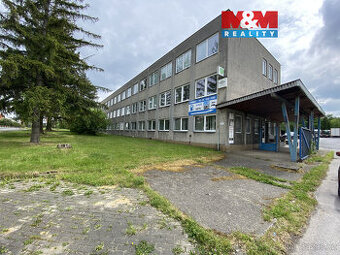 Pronájem kancelářského prostoru, 13 m², Krnov