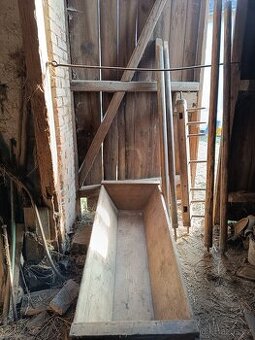 Rýna + troky na zabijačku