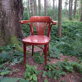 Thonet s područkami