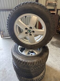 Zimni sada 5x100 pneu 195/65R15 Vranik