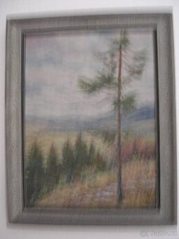 prodám ze sbírky obrazů