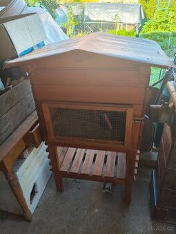 Králíkárna, morče