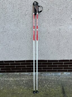 Běžkařské hole Sporten 160cm