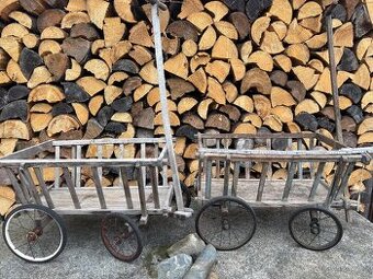 Starožitný žebřiňák