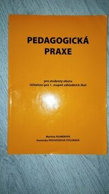 Pedagogická praxe, Fasnerová a Stolinská - 1