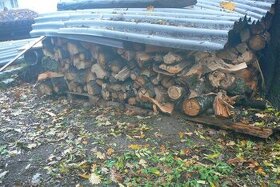 dřevo na uzení třešeň
