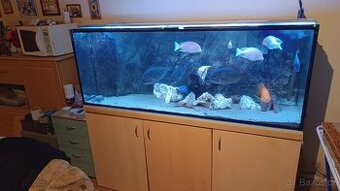 Akvárium 500l