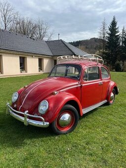 VW brouk 1.3
