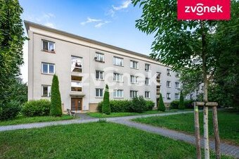 2+1 M. Knesla, žádaná lokalita
