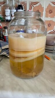 Scoby