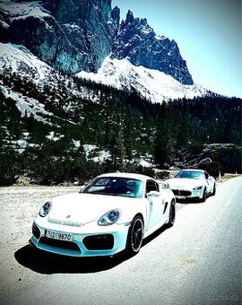 Porsche Cayman GT4/987 "Panda" Techart