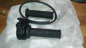 Multistrada v4 elektronický plyn