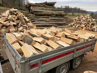 Palivové dřevo od těžaře – od 700 Kč / PRM, doprava zdarma p