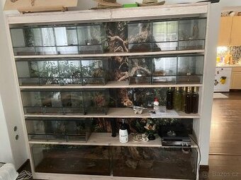 Terarijní regál s červeným LED osvětlením – pavouci, hadi, š