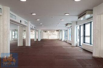 Pronájem nebytových prostor (360 m2), Agora Flora, Praha 3 -