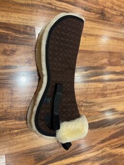 Christ pravý Beránek pod sedlo