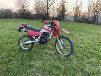 Honda XL 125 Dakar - 1