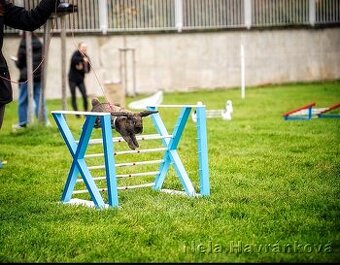 Sportovní králík bez pp - Karma (import Švédsko)
