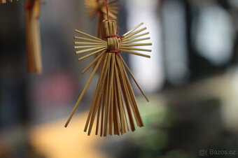 PANCOLAR 50/1,8 + REDUKCE PRO CANON .