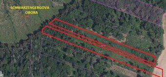 Prodej lesů Stehlovice - 1