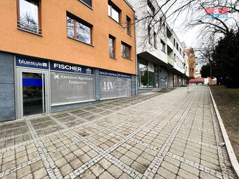 Prodej obchod a služby, 96 m², Čelákovice