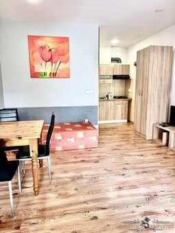Pronájem bytu 1+kk 28 m2 - Žďár nad Sázavou, ev.č. 00840