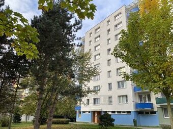 pronájem bytu 1+1, Čtyři Dvory, České Budějovice