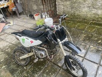 Pitstat 140ccm