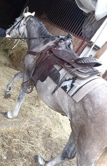 Koupím westernové sedlo