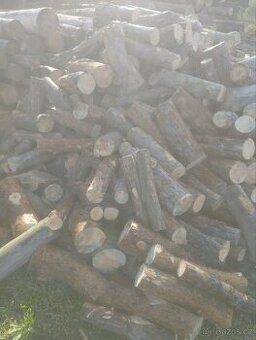 Palivove drevo 45cm delka