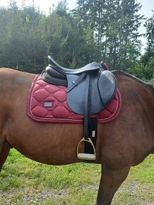 Anglické všestranné/ sedlo (Kentaur), komora 2, posedlí 17,5