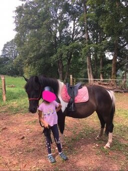 Kobylka s báječnou povahou