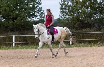 Klisna connemara pony