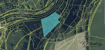 Prodej les, CP 11 613 m2, obec Poniklá