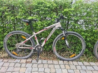 Specialized - juniorské/dámské kolo