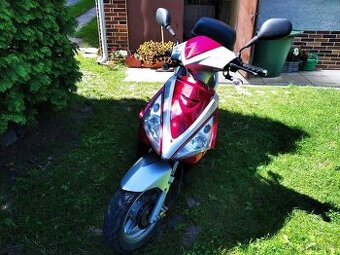 Skútr new Speedy 50